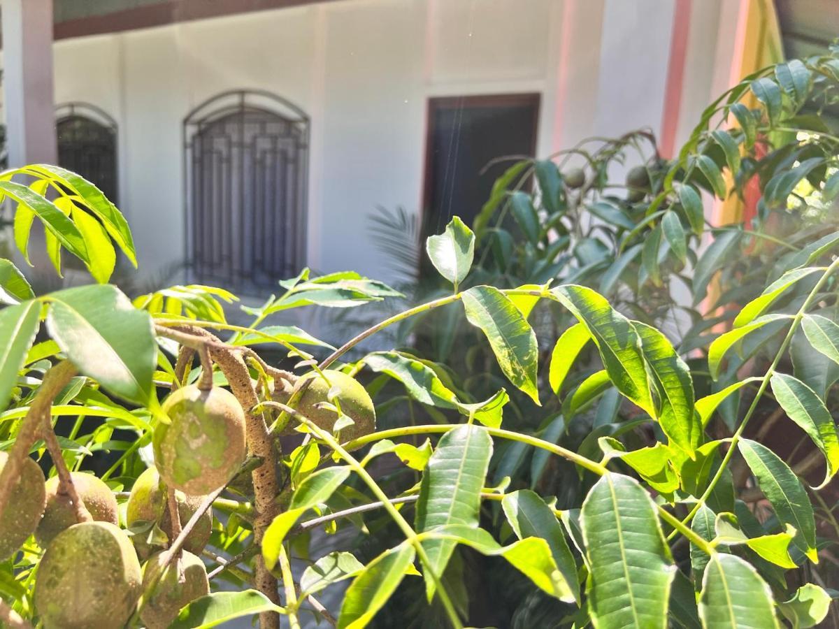 Natural Experience House Tortuguero Exterior foto