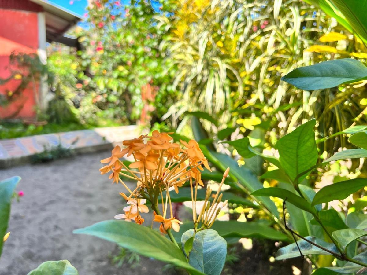 Natural Experience House Tortuguero Exterior foto